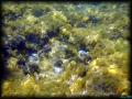 DSC02496 - retouche 2